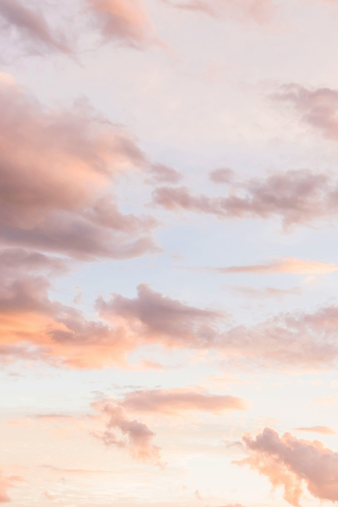 Pink clouds